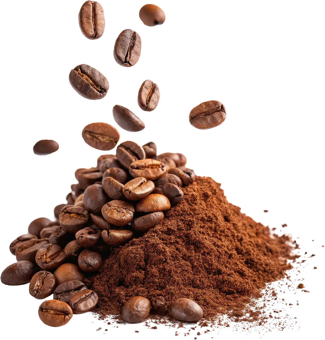 coffee supplier philippines